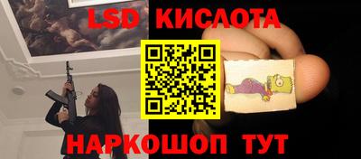 молекула духа Кингисепп