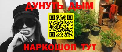 молекула духа Кингисепп
