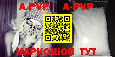 молекула духа Кингисепп