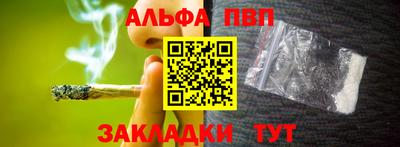 молекула духа Кингисепп