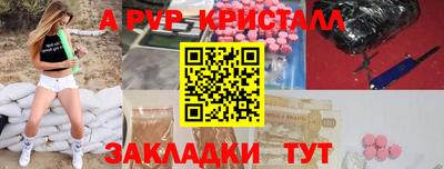 молекула духа Кингисепп