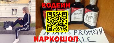 молекула духа Кингисепп