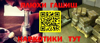 молекула духа Кингисепп